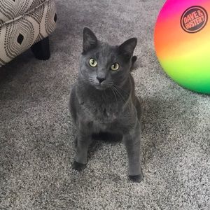 Meet your Posher, Kim